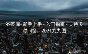 99图库- 新手上手 - 入门指南 - 支持多时间窗，2021九九图