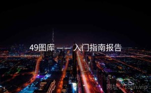 49图库 —— 入门指南报告