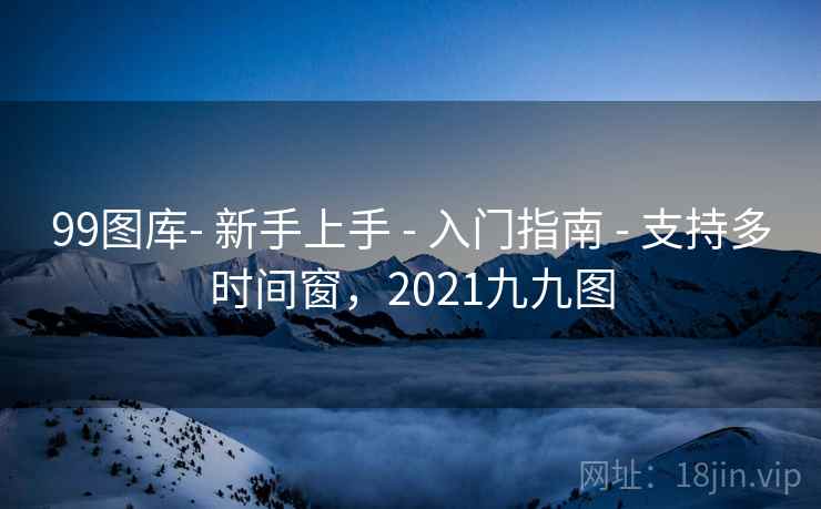 99图库- 新手上手 - 入门指南 - 支持多时间窗，2021九九图